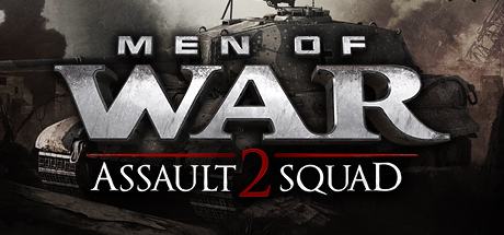 Men of War: Assault Squad 2 — поиск тиммейта для совместной игры