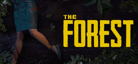 The Forest — поиск тиммейта для совместной игры
